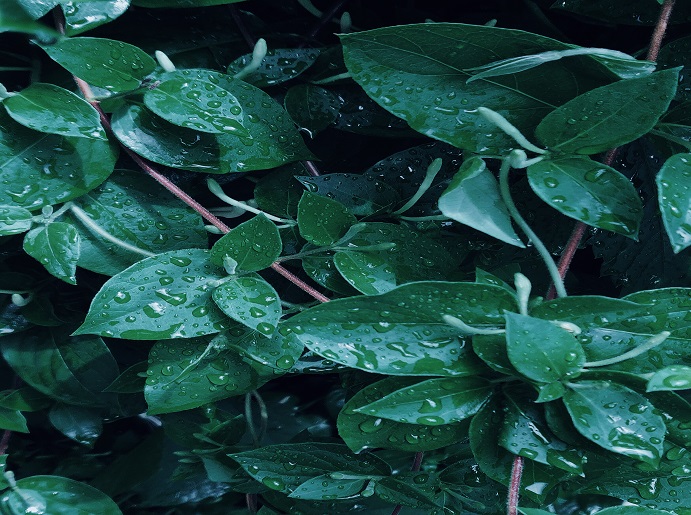 درباره ما